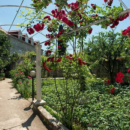 Гостевой дом Bokun