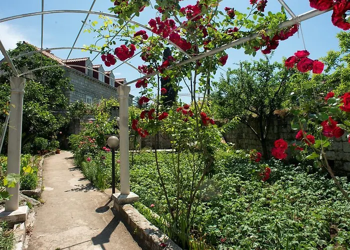 Casa de hóspedes Bokun